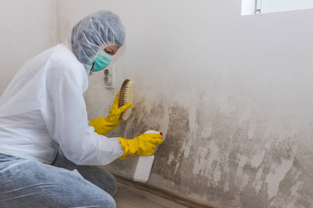 Best Industrial Mold Remediation  in Nephi, UT