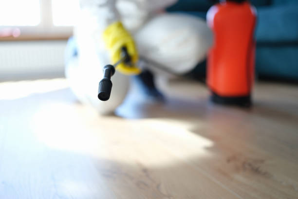Trusted Nephi, UT Mold Removal Experts
