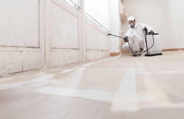Best Attic Mold Removal  in Nephi, UT